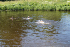 Безопасность на воде